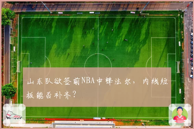 山东队欲签前NBA中锋法尔，内线短板能否补齐？