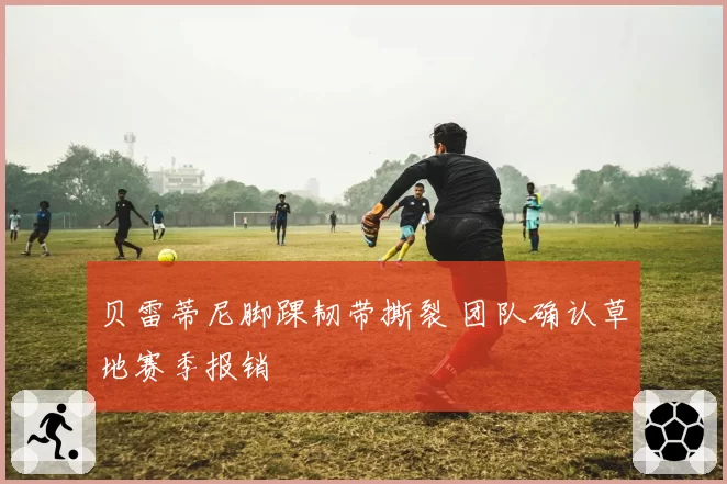 贝雷蒂尼脚踝韧带撕裂 团队确认草地赛季报销
