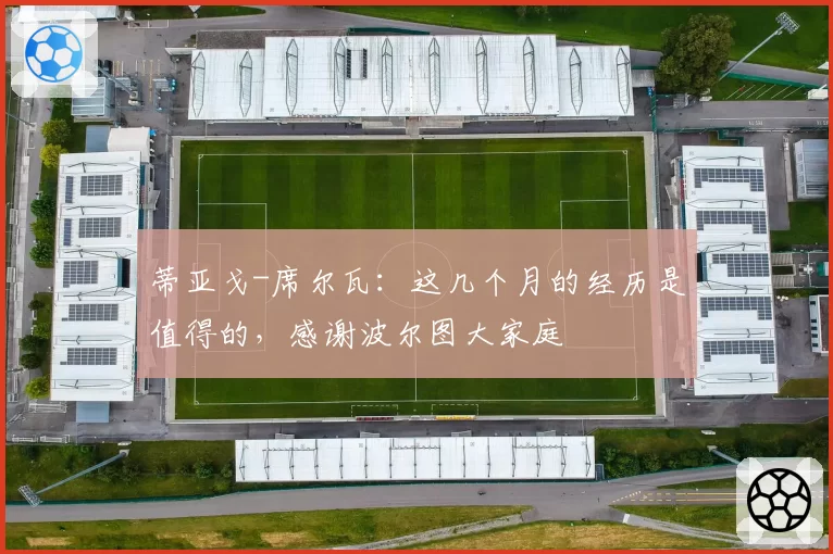 蒂亚戈-席尔瓦：这几个月的经历是值得的，感谢波尔图大家庭